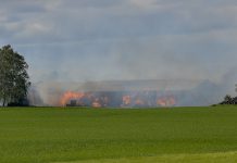 Linköping: Många kycklingar innebrända i ladugårdsbrand