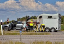 Linköping: Häst fastnade i hästtransport på E4