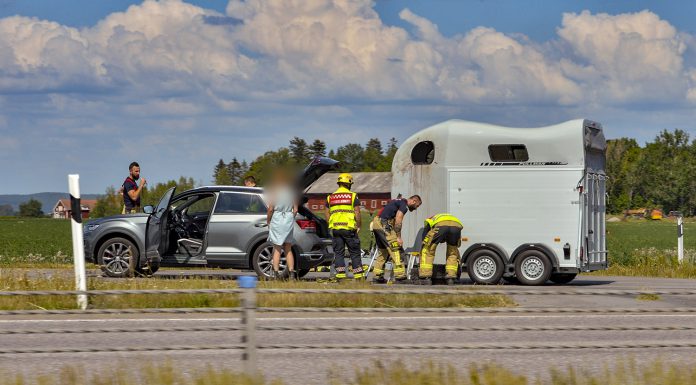 Linköping: Häst fastnade i hästtransport på E4