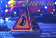 Väjde för djur – hamnade i skogen