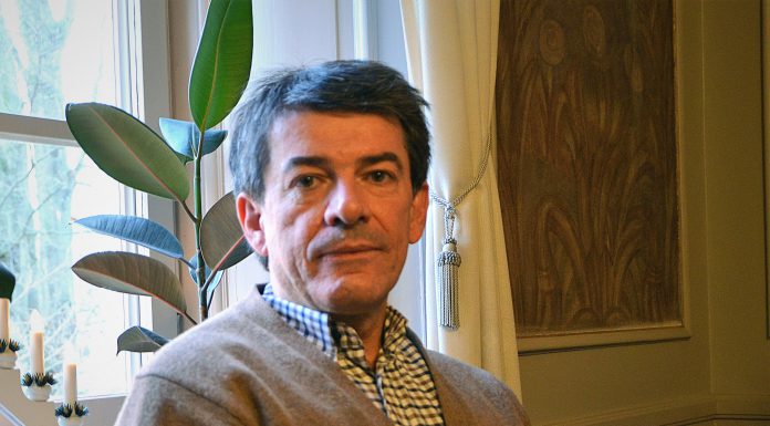 Uppstickarpartiet har ny leding – välkänd företag och idrottsprofil tar över Cocozza får inte vara med och prata i Alliansen innan beslut tas. Foto: Tommy Pettersson