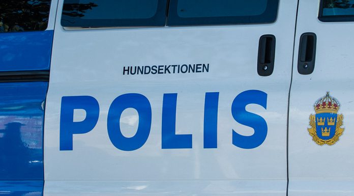 Hundjakt efter inbrott på Skogslyckegatan