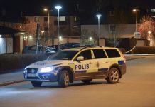 Se upp för biltjuven
