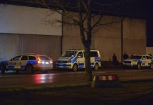 Polisen tog unga klottrare