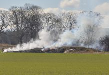 Gräsbrand i det fria