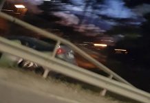 Misstänkt drograttfyllerist i trädkrock