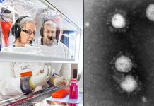Risknivån för spridning av coronavirus höjs