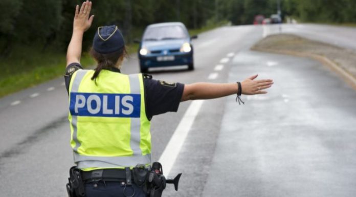 Under natten: Rattfylla i Ryd och viltolyckor