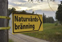 Naturvårdbränning i Viggeby naturreservat