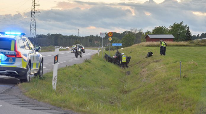 Väjde för vilt och voltade