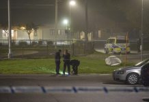 Skottlossning i Norrköping – polisen utreder mordförsök