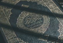 Koranbränning i Domkyrkoparken
