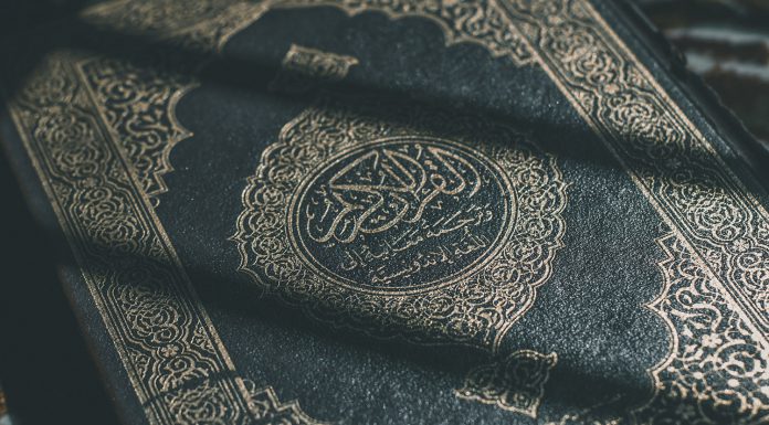 Koranbränning i Domkyrkoparken