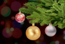 Inställd jul i Gamla Linköping