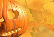Ingen Halloween i Trädgårdsföreningen