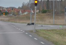 Kvinna körde in i trafikljus