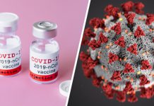 Prognos: 30.000 vaccindoser till länet i januari