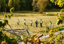 12 år gammal flicka fortfarande försvunnen – har du sett Zipora?