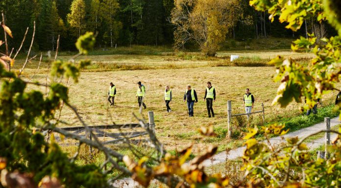 12 år gammal flicka fortfarande försvunnen – har du sett Zipora?