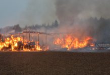 Ladugårdsbyggnad nedbrunnen i kraftig brand