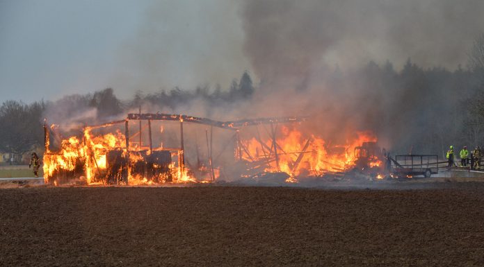 Ladugårdsbyggnad nedbrunnen i kraftig brand