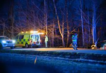 Trädkrock i Tallboda