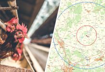 Nytt fall av fågelinfluensa i länet