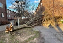 Kraftiga vindar över Linköping