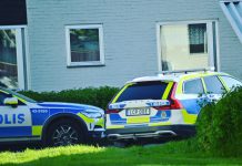 Misshandlade kvinna och hotade polis
