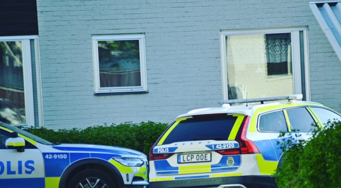 Misshandlade kvinna och hotade polis