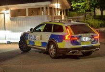 Lugn polisnatt