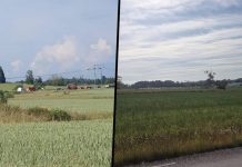 Åtta bilar i krock på E4