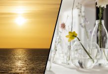 Vanliga glasprylar kan orsaka brand i sommarsolen