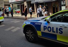 BLÅLJUS: Bråk, häleri och trafikolyckor
