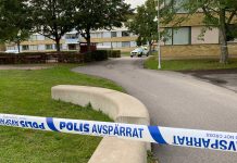 Skottlossning i Ryd – en gripen