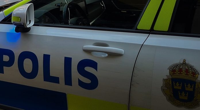 Under natten: Misstänkt våldtäkt, trädkaos och vanlig helgfylla