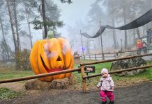 Kolmården firar Halloween med Horror Nights