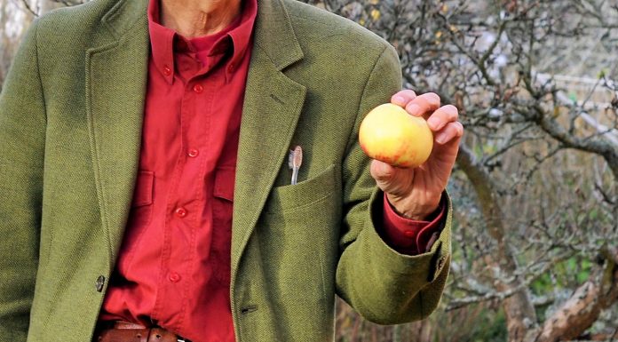 Kaffepriset sjunker men Tomater blev fem procent dyrare under september