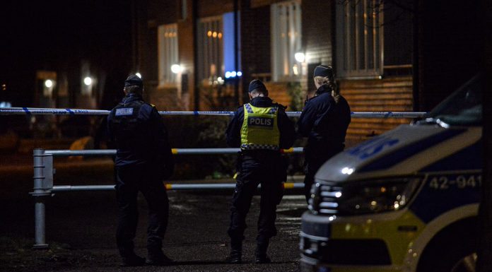 Polis kallades till Skäggetorp efter misstänkt skott
