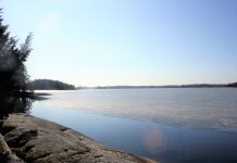 Nya fågelskyddsområden i skärgården