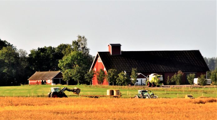 Miljonstöd till Östergötlands jordbrukare
