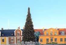 Kasta ut granen – Nej Lämna in den istället