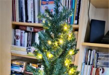 Råd inför den traditionella julplundringshelgen