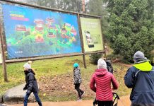 Kolmårdens djurpark – delfinerna mår dåligt