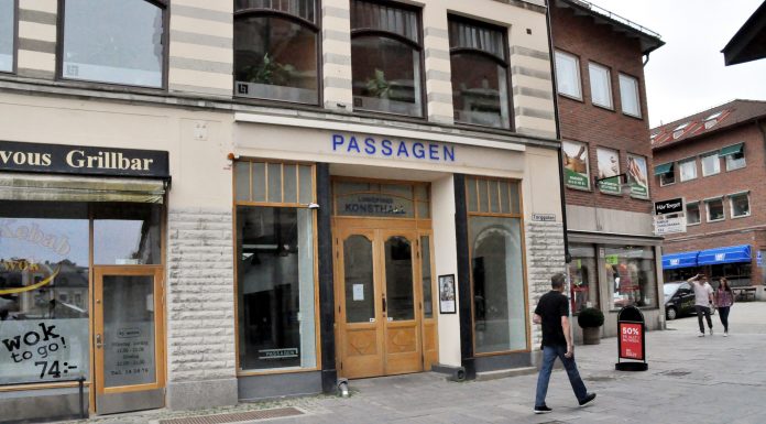 Tre utställningar och 15 konstnärer möts på Passagen