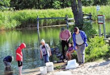 Rekordår för Tekniska verkens ål-infångning 2023