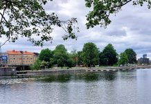 Dags att spana in SM-veckan i Linköping