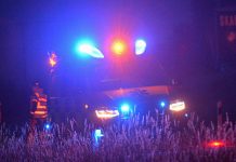 Ambulans i viltolycka på E4