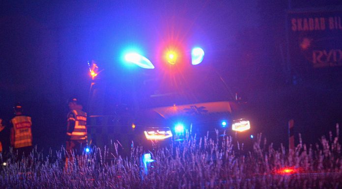 Ambulans i viltolycka på E4