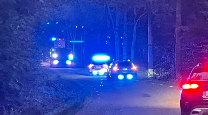 Bil fattade eld efter trädkrock